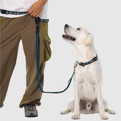 Show full view: PawTrk TrailLead Dog Leash, Forest Green, One Size slide 7 of 8