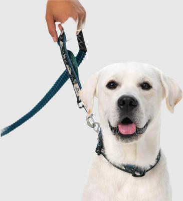 Show full view: PawTrk TrailLead Dog Leash, Forest Green, One Size slide 3 of 8