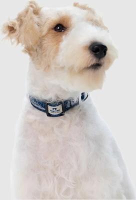 Show full view: PawTrk EverBark Dog Collar, Ocean Blue, Large slide 6 of 8