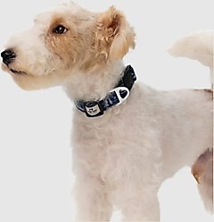PawTrk EverBark Dog Collar, Ocean Blue, Medium slide 2 of 6