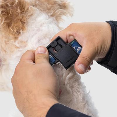 Show full view: PawTrk EverBark Dog Collar, Ocean Blue, Large slide 3 of 8