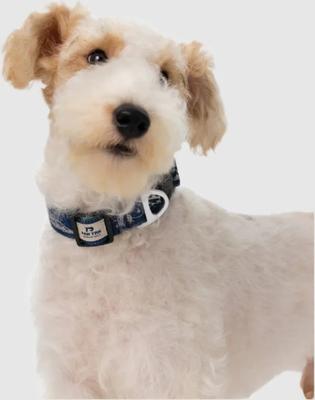 Show full view: PawTrk EverBark Dog Collar, Ocean Blue, Large slide 2 of 8