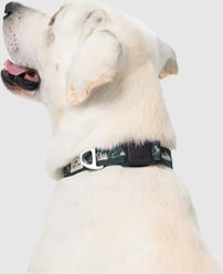 PawTrk EverBark Dog Collar, Forest Green, Large slide 2 of 7