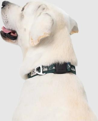 Show full view: PawTrk EverBark Dog Collar, Forest Green, Small slide 5 of 8