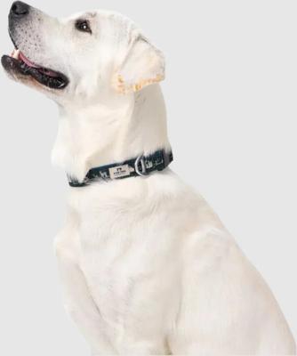 Show full view: PawTrk EverBark Dog Collar, Forest Green, Small slide 6 of 8