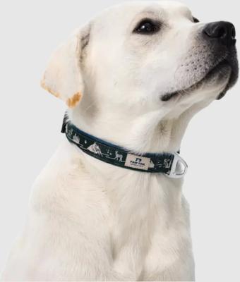 Show full view: PawTrk EverBark Dog Collar, Forest Green, Small slide 2 of 8