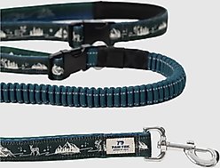 PawTrk TrailLead Dog Leash, Forest Green, One Size