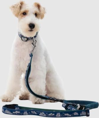 Show full view: PawTrk TrailLead Dog Leash, Ocean Blue, One Size slide 2 of 7