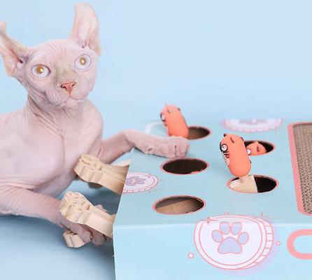 Show full view: Happy & Polly Corrugated Whack-a-Mole Cat Scratching Board slide 2 of 10