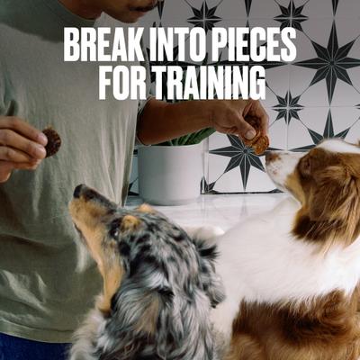 Show full view: Nom Nom Beef & Blueberry Wafers Dehydrated Dog Treats, 7-oz pouch slide 6 of 9