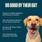 Show in main carousel: Nom Nom Probiotic Support Full Spectrum Digestive Health Powder Supplement Dog Food Topper, 2.12-oz jar slide 6 of 10