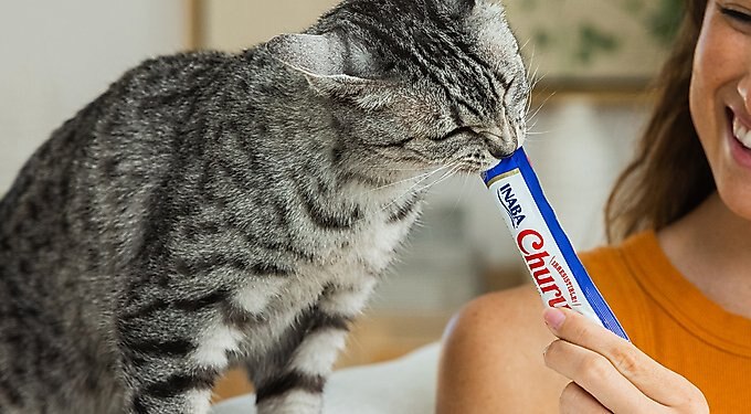 Inaba Churu Chicken Variety Creamy Puree Grain-Free Lickable Cat Treats