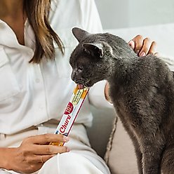 Inaba Churu for Senior 10+ Chicken Recipe Lickable Cat Treats, 0.5-oz tube, 24 count slide 2 of 7