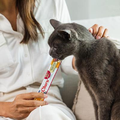 Show full view: Inaba Churu for Senior 10+ Chicken Recipe Lickable Cat Treats, 0.5-oz tube, 24 count slide 8 of 9