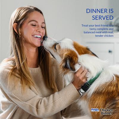 Show full view: Inaba Chicken Dinner Salmon & Beef Wet Dog Food, 2.4-oz pouch, case of 15 slide 5 of 9