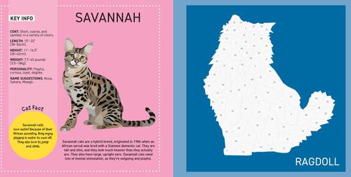 Show full view: My Sticker Paintings: Cats slide 2 of 4