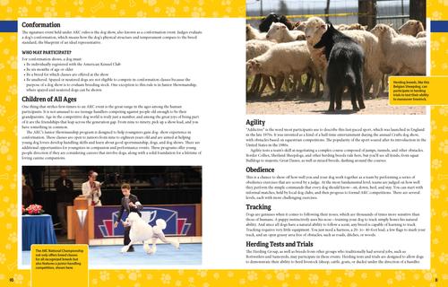 Show full view: AKC Ultimate Dog Coloring Book slide 2 of 4
