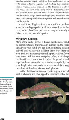 Show full view: Lizard Keepers Handbook slide 2 of 4