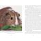 Show in main carousel: Complete Care Made Easy: Guinea Pigs slide 3 of 4