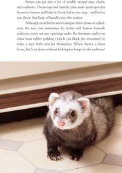 Complete Care Made Easy: Ferrets slide 2 of 4