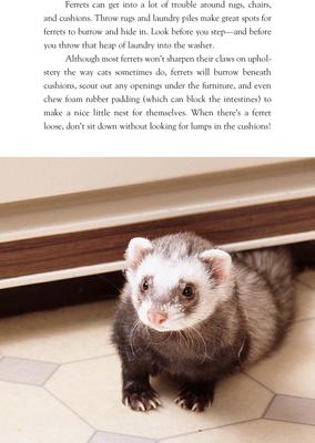 Show full view: Complete Care Made Easy: Ferrets slide 3 of 4