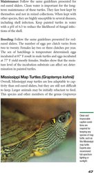 Red-Eared Sliders slide 2 of 4