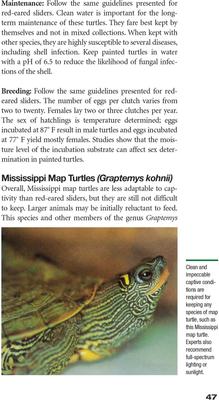 Show full view: Red-Eared Sliders slide 3 of 4