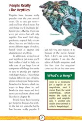 Lizards slide 2 of 4