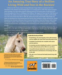 Challenge of the Stallions slide 2 of 4