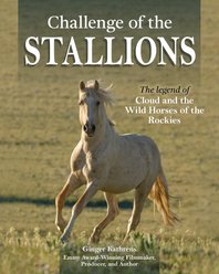 Challenge of the Stallions