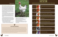 Ultimate Guide to Hobby Farm Animals slide 2 of 4