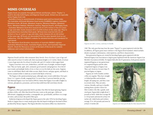 Show full view: Mini Goats slide 2 of 4