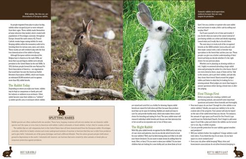 Show full view: Hobby Farm Animals slide 3 of 4