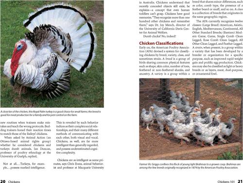 Show full view: Chickens, 2nd Edition slide 2 of 4