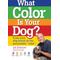 Show in main carousel: What Color is Your Dog? slide 1 of 1