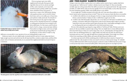 Show full view: APractical Guide to Rabbit Ranching slide 2 of 4