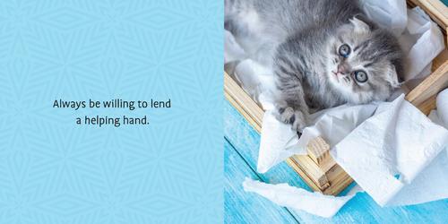 Show full view: Life Lessons from Cats! slide 3 of 4