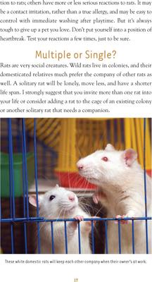 Show full view: Rat Training slide 2 of 4