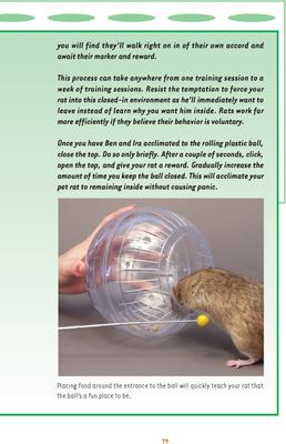 Show full view: Rat Training slide 3 of 4