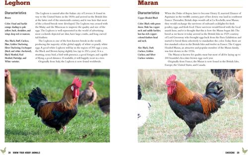 Show full view: Know Your Hobby Animals: A Breed Encyclopedia slide 2 of 4