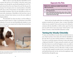 Complete Care Made Easy: Chinchillas slide 2 of 4