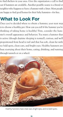 Show full view: Complete Care Made Easy: Hamsters slide 2 of 4