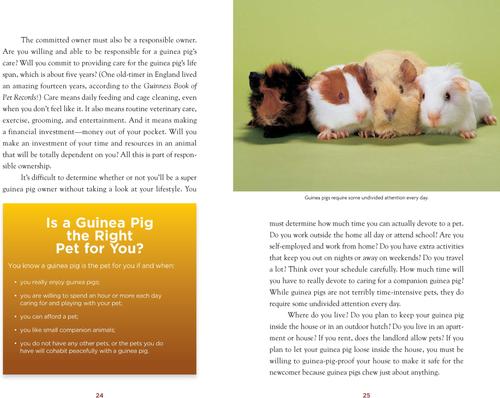 Show full view: Complete Care Made Easy: Guinea Pigs slide 2 of 4