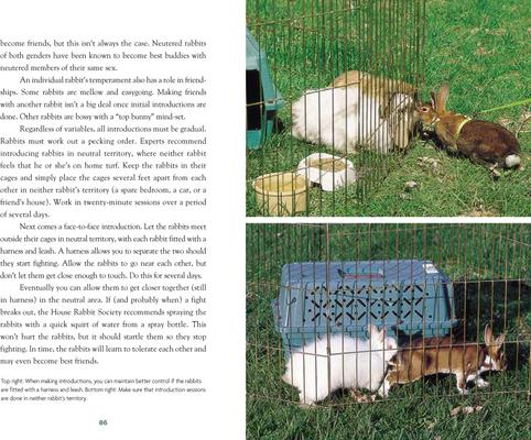 Show full view: Complete Care Made Easy: Rabbits slide 3 of 4