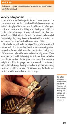 Show full view: Box Turtle Manual slide 2 of 4