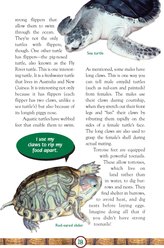 Turtles & Tortoises slide 2 of 4