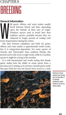 Show full view: Garter and Water Snakes slide 3 of 4