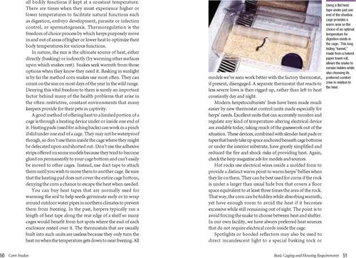 Show full view: Corn Snakes slide 2 of 4