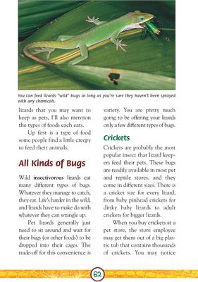 Show full view: Lizards slide 3 of 4