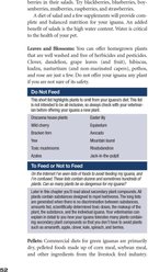 The Green Iguana Manual slide 2 of 4